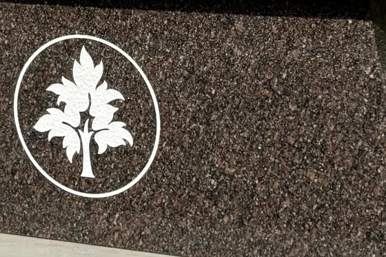 Walnut granite on a memorial bench with a sandblasted tree emblem